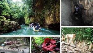 Tempat Wisata Keren Di Kabupaten Langkat 